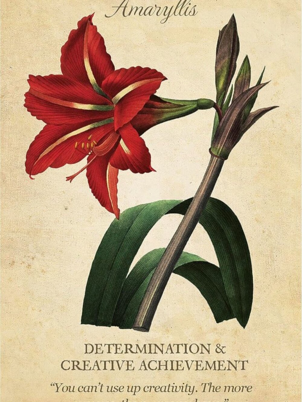 Botanical Inspirations Deck and Book Set - Picture 4 of 8